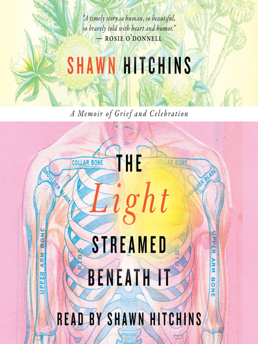 Title details for The Light Streamed Beneath It by Shawn Hitchins - Available